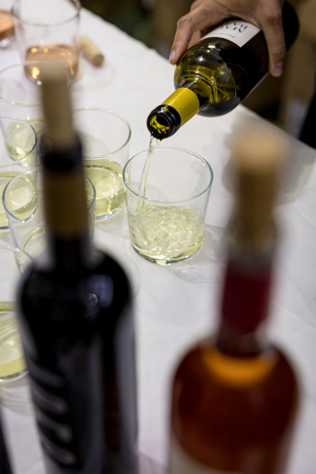 260407_Inselradio_0270