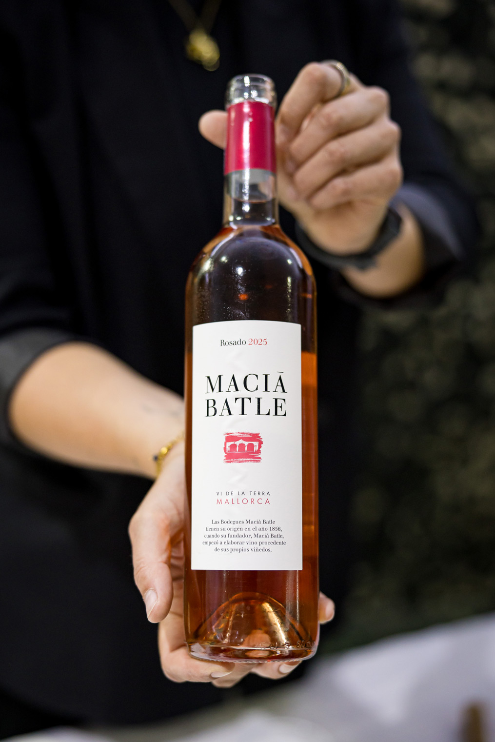 260407_Inselradio_0297