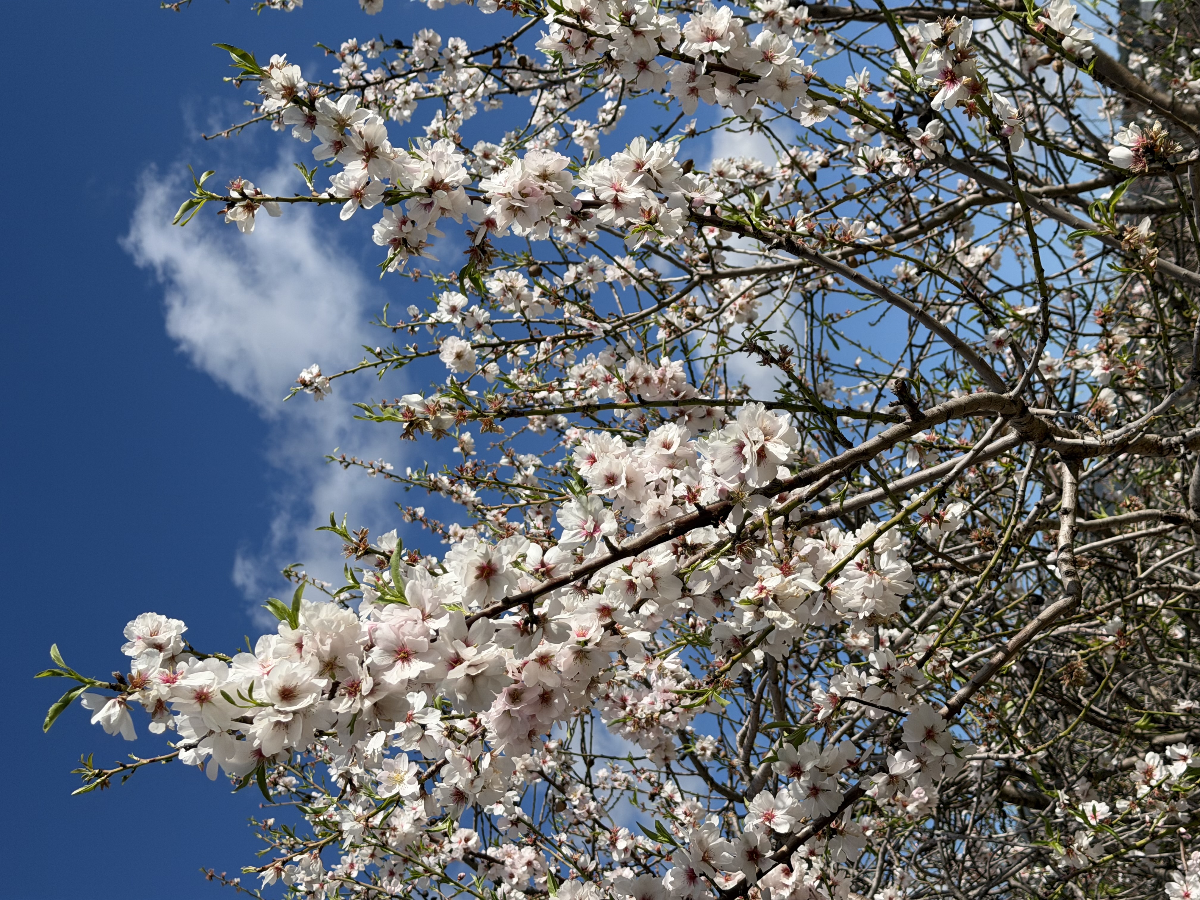 poiImage_8824_1770496907