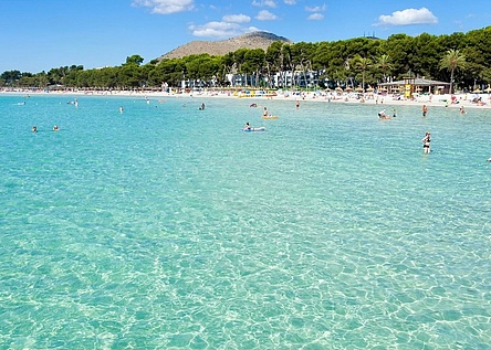Alcudia_Strand_schwimmen_Meer_ajuntament_alcudia_facebook