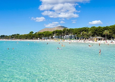 Alcudia_Strand_schwimmen_Meer_ajuntament_alcudia_facebook