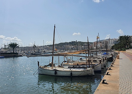 Fischkutter_Hafen_Boote