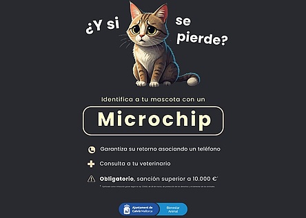 Tiere_Mikrochip_Calvia_ajuntament