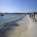  Es Carbó  (Ses Salines, Mallorca)