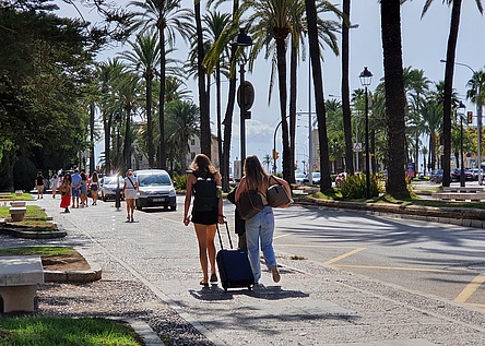 Touristen_Rollkoffer_Reisetasche_Palmen_2