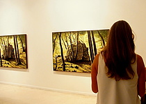 Nit_de_Art_Kunstnacht