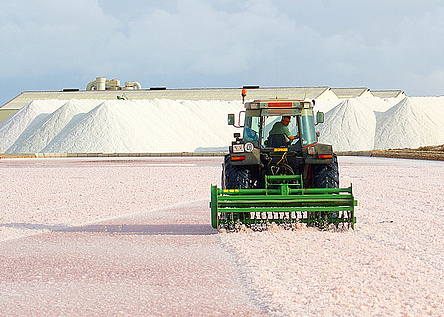 Salz_Salinera_Espanola_Ibiza