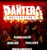 Pantera_Tribute