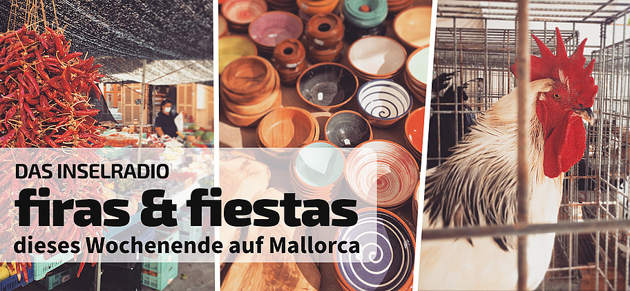 ir_header_2025_firesfestes
