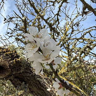 poiImage_8812_1768601061