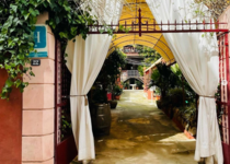 hostal_corona_instagram