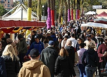 Balearentag_caib