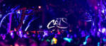 CatsRevival