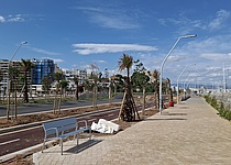 Paseo_Maritimo_Palma_Mai_2025_intern_Dominik