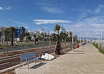 Paseo_Maritimo_Palma_Mai_2025_intern_Dominik