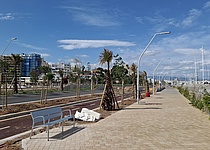 Paseo_Maritimo_Palma_Mai_2025_intern_Dominik
