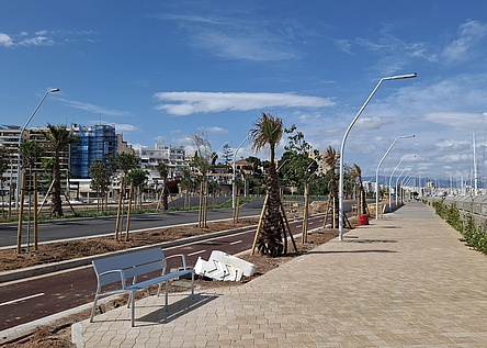 Paseo_Maritimo_Palma_Mai_2025_intern_Dominik