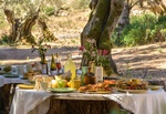 SONMO_Fuehrung_und_Picknick