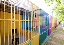 Son_Reus_Tierheim_ajuntament_Palma