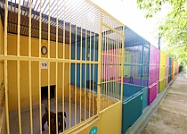 Son_Reus_Tierheim_ajuntament_Palma