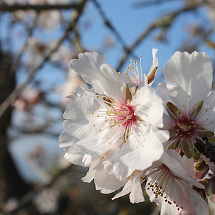 poiImage_8809_1767875326