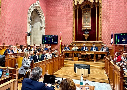 Hilfen_Iran_Krieg_Consell_de_Mallorca