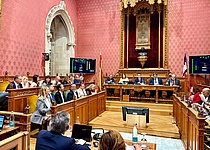 Hilfen_Iran_Krieg_Consell_de_Mallorca