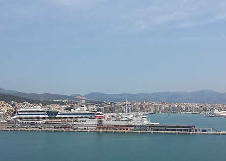 _immer_mehr_kreuzfahrtschiffe_kommen_nach_mallorca