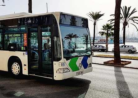 busfahrer_in_palma___600_bewerbungen_auf_140_stellen