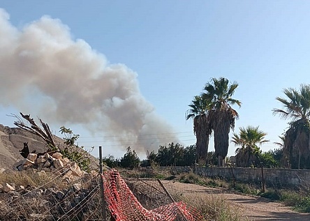 Brand_SAlbufera_16ter_Oktober_2024___Hoererin___mit_Erlaubnis_fuer_Website