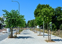 Fuss_und_Radweg_Playa_de_Palma_Ajuntament_de_Palma2