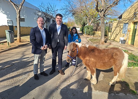 Pony_Lokalpolizei_policia_local
