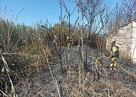 Feuers__Albufera_IBANAT