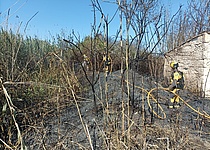 Feuers__Albufera_IBANAT