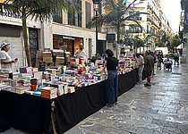 Sant_Jordi_Palma_2026_Lena