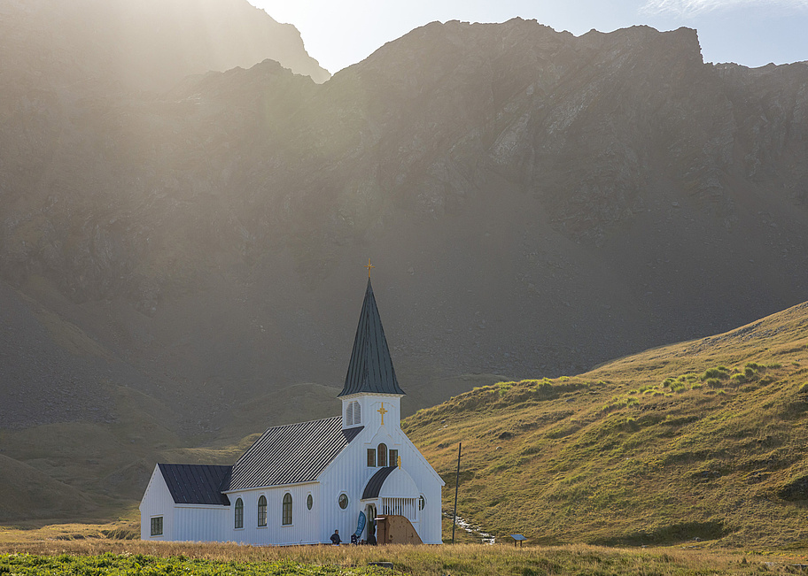 SH_Vega__Grytviken___South_Georgia___Cape_to_Cape___14_03_2023___31