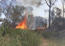 Waldbrand_caib