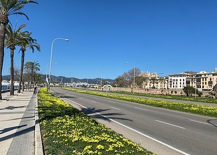 fruehling_palma_paseomaritimo