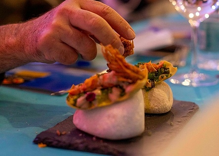 Llampuga_Goldmakrele_visit_capdepera