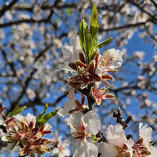 poiImage_8840_1772188416