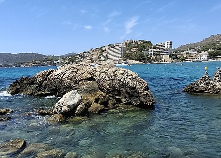 Felsen_Meer_Paguera_intern_Dominik
