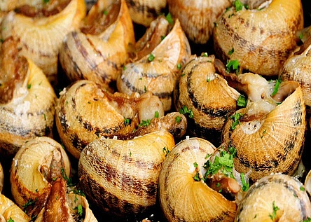 Fira_del_caragol_schnecken_ajuntament_de_palma
