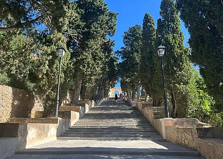 Arta_Altstadtsanierung_ajuntament