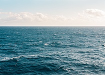 Meer_Pexels
