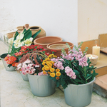 Bild_Blumenworkshop_dada_days