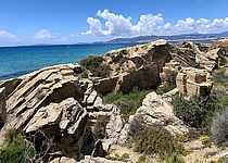 Es_Carnatge_intern_Dominik