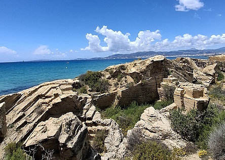 Es_Carnatge_intern_Dominik