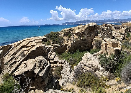 Es_Carnatge_intern_Dominik