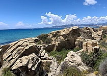 Es_Carnatge_intern_Dominik