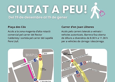 ManacorSperrungenAutofahrer_AjuntamentdeManacor_Facebook